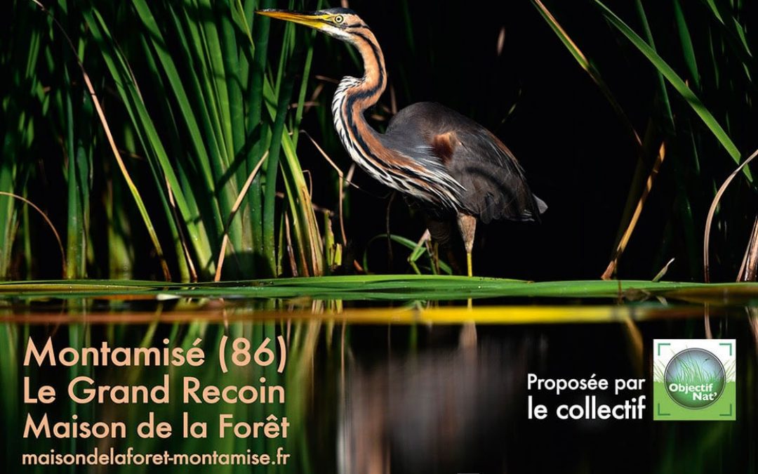 Exposition Photo Nature 2019