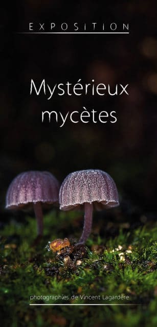 Visuel de l'expo