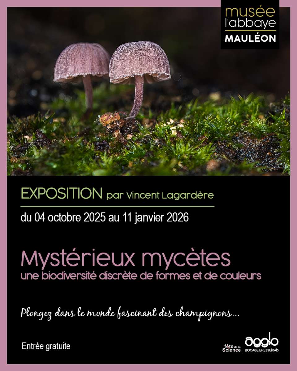 Expo photo au musée de l'abbaye - Mauléon du 4 octobre 2025 au 10 janvier 2026