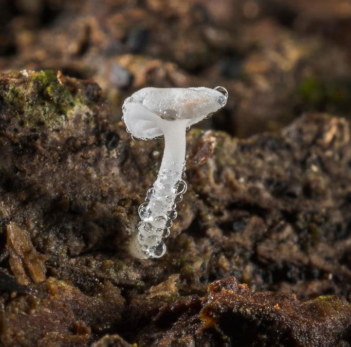 Savoir fraîcheur garder…