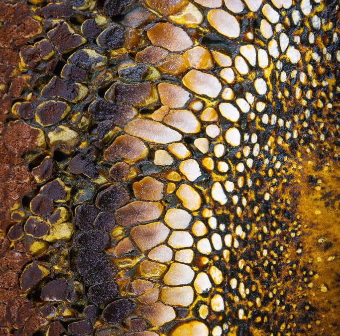 La beauté intérieure