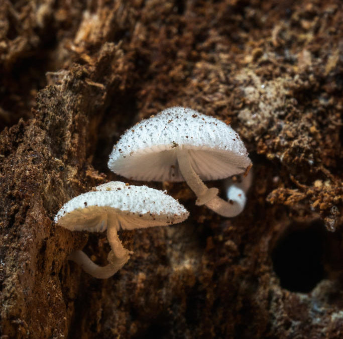 Une rencontre inespérée