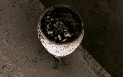 Par delà la lumière…