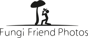 Fungi Friend Photos