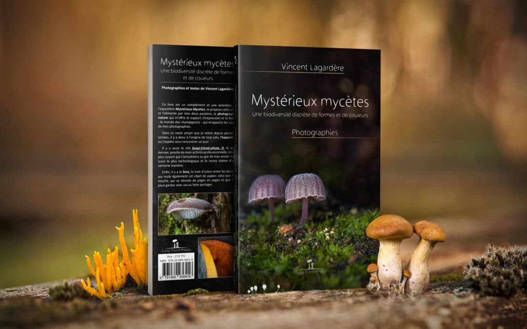 Mystérieux mycètes, le livre