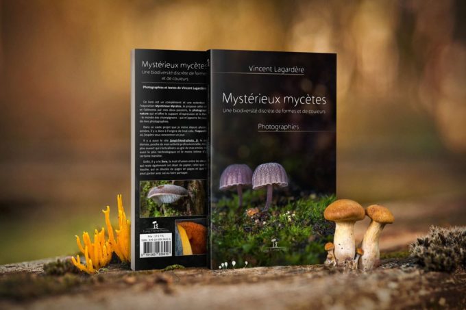 Mystérieux mycètes