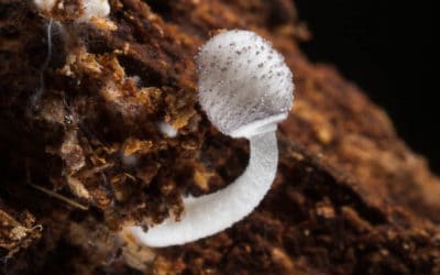 Une rencontre inespérée