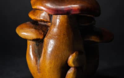 Les enfants des arbres japonais