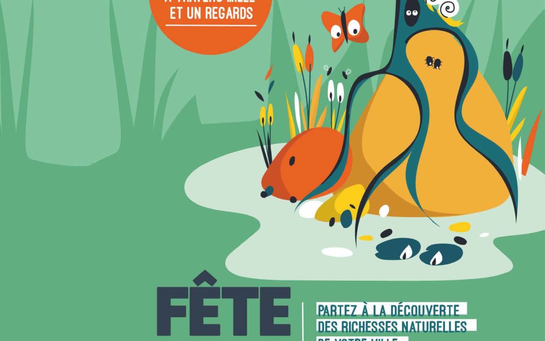 Exposition « Mystérieux mycètes » au musée de Saint-Jean d&rsquo;Angély