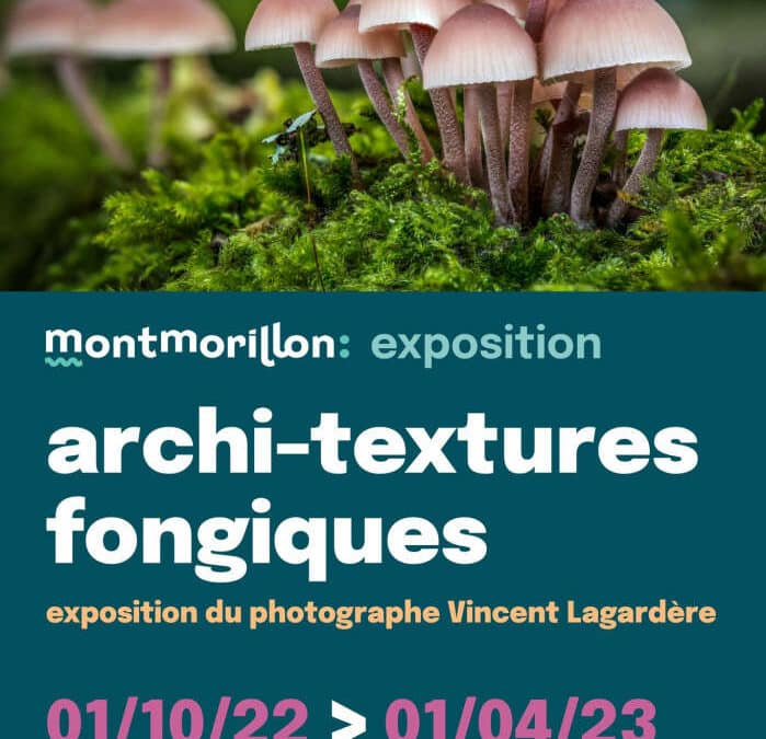 Archi-textures fongiques: expo photo au Musée d&rsquo;Art et d&rsquo;Histoire de Montmorillon
