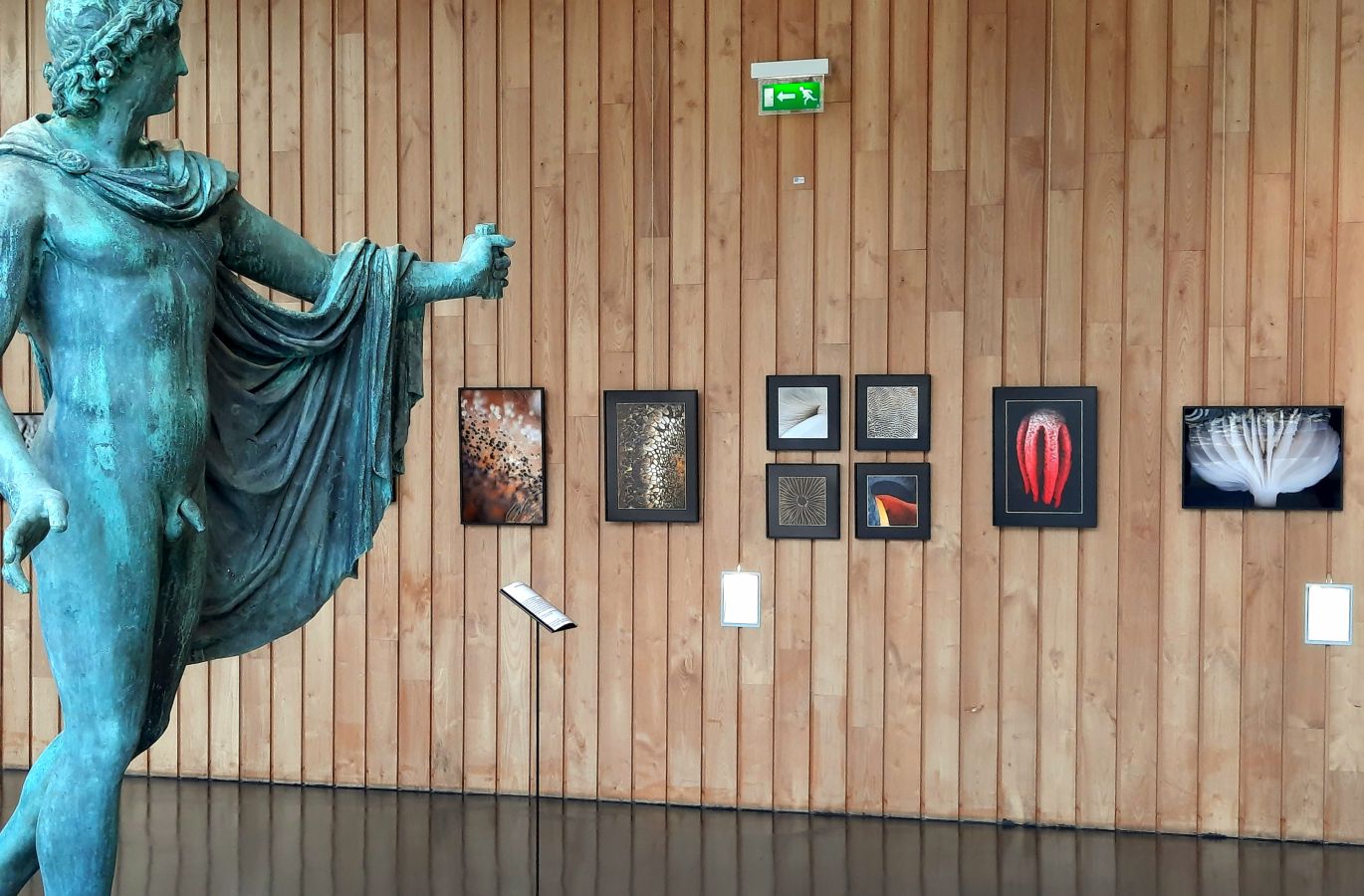 Mystérieux Mycètes : fête de la Nature, St Jean d'Angély, mai 2021