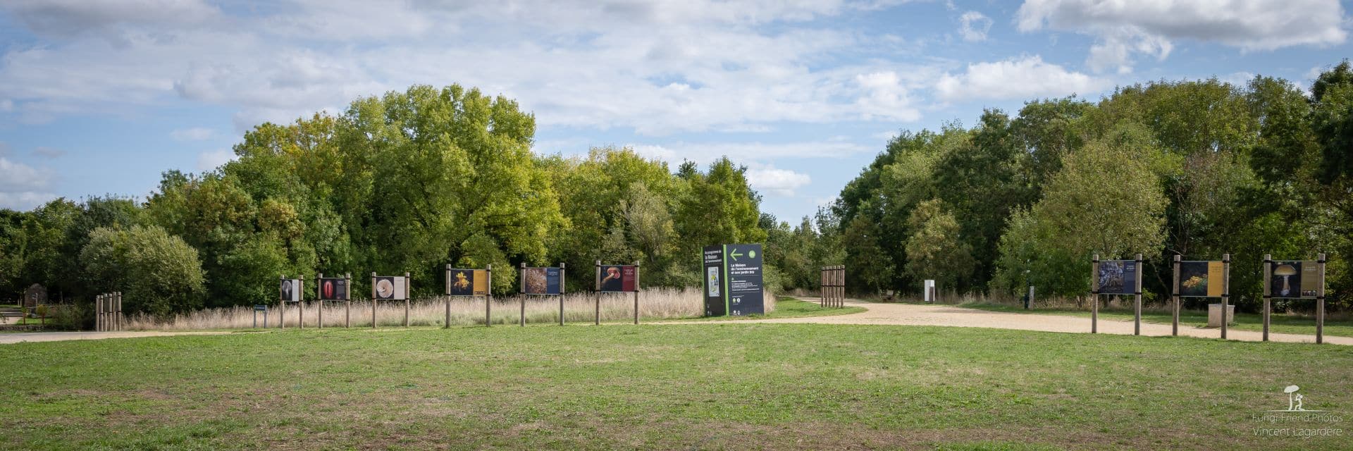 Mystérieux Mycètes : fête de la Nature, St Jean d'Angély, mai 2021