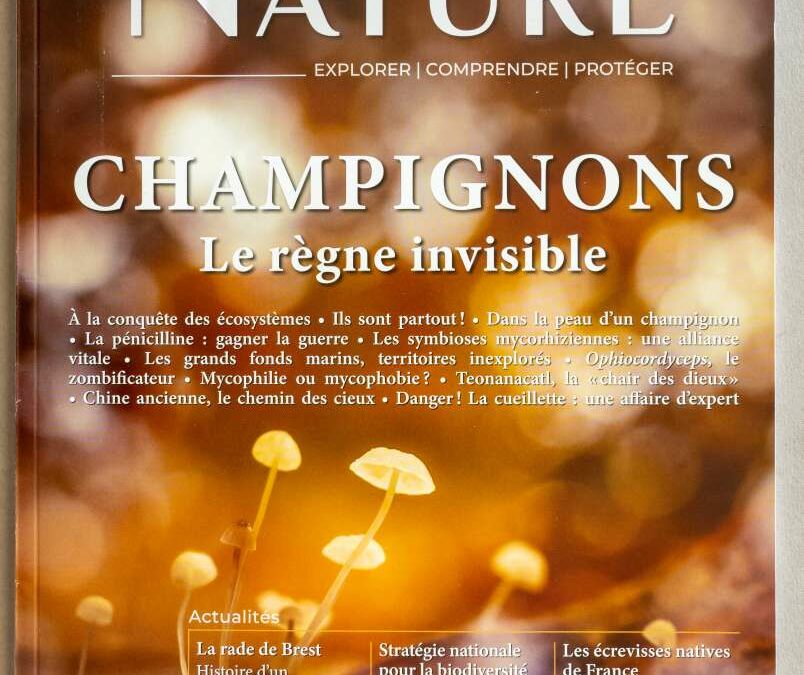 Participation au dossier sur les champignons du Courrier de la Nature